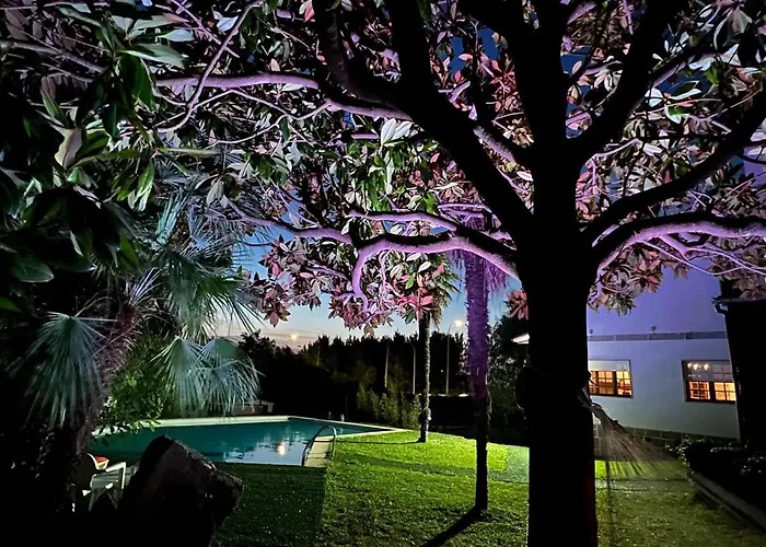 Paxarinas * Sanxenxo